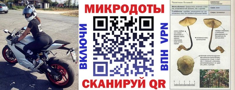 mega как войти  нарко площадка клад  Галлюциногенные грибы Cubensis  Северо-Курильск 
